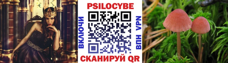 где можно купить наркотик  Советский  Галлюциногенные грибы Magic Shrooms 